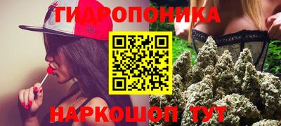 apvp Кандалакша