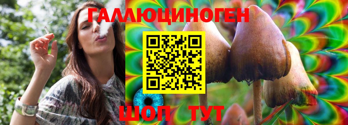 Галлюциногенные грибы Psilocybine cubensis Кудрово